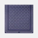 Htarwara Blue Rectangular Scarf